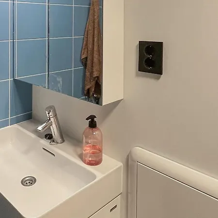 Cozy In With Kitchen Apartman